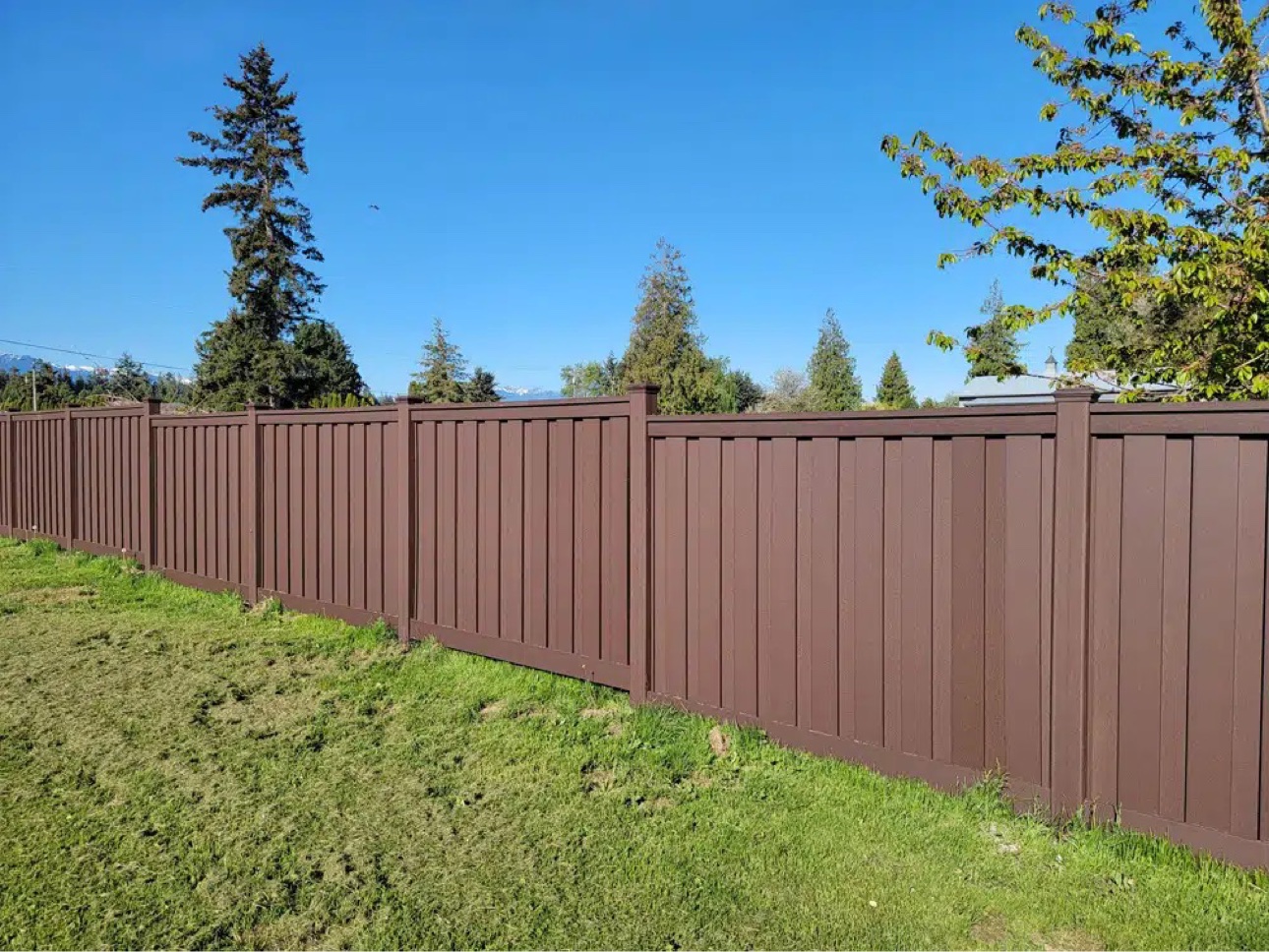 Stained cedar privacy fence with black post caps