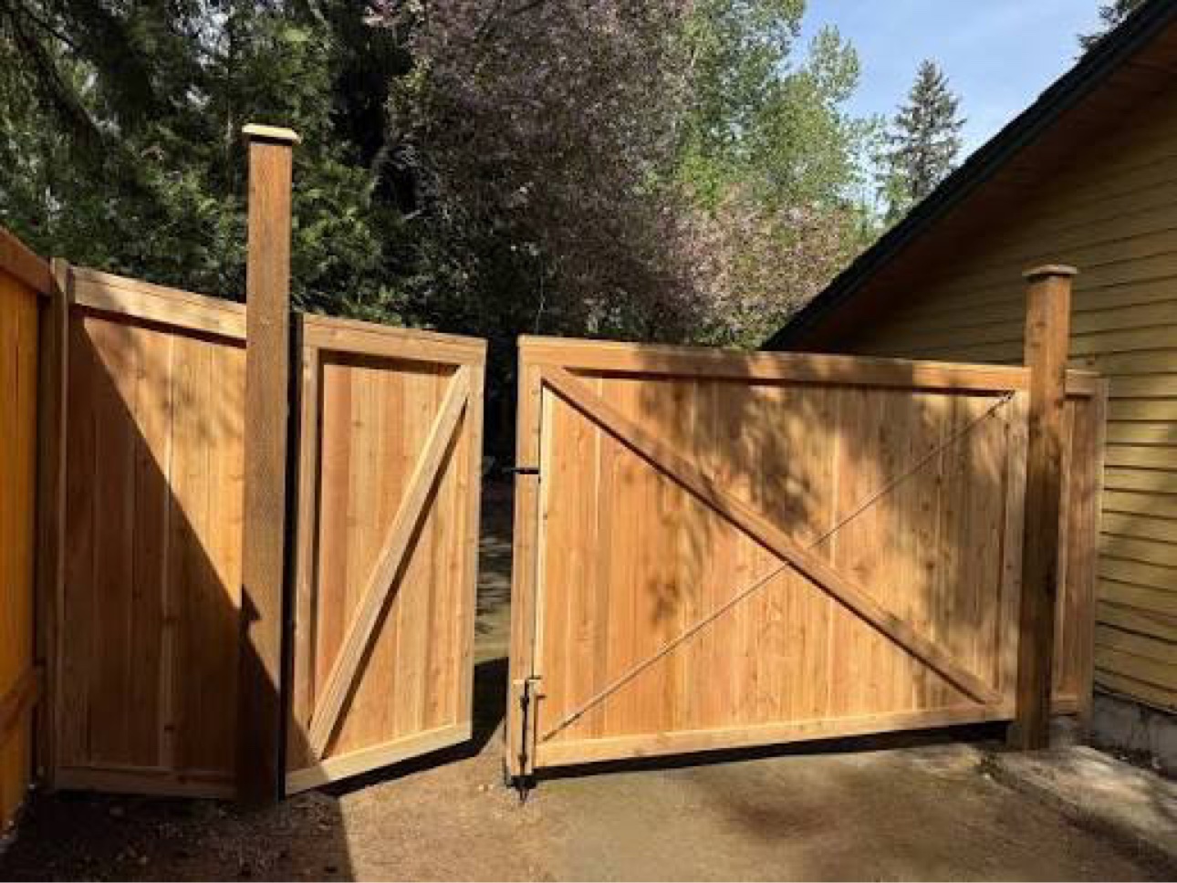 Full-length cedar fence run